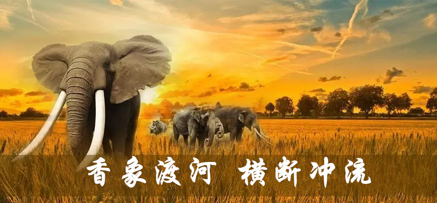 图1-1.jpg